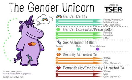 gender-unicorn